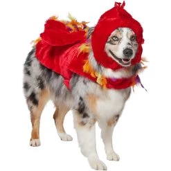 Frisco Flying Phoenix Dog & Cat Costume -Pet Supplies Shop 708150 PT3. AC SS1800 V1691084928