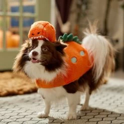 Frisco Furry Dinosaur Dog & Cat Costume -Pet Supplies Shop 708190 PT7. AC SS1800 V1689278373