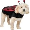 Frisco Glittered Ladybug Dog & Cat Costume