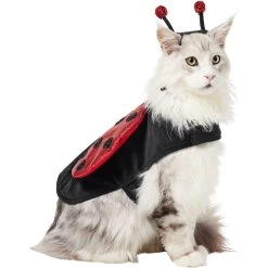 Frisco Glittered Ladybug Dog & Cat Costume -Pet Supplies Shop 708254 PT2. AC SS1800 V1689350599