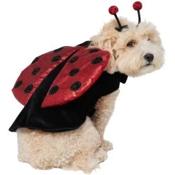 Frisco Glittered Ladybug Dog & Cat Costume -Pet Supplies Shop 708254 PT3. AC SS1800 V1689350986