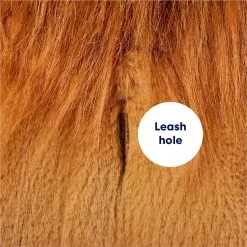 Frisco Lion Love Dog & Cat Costume -Pet Supplies Shop 708318 PT6. AC SS1800 V1689351045