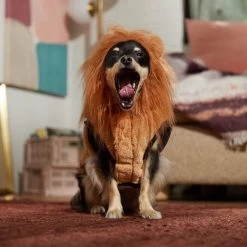 Frisco Lion Love Dog & Cat Costume -Pet Supplies Shop 708318 PT7. AC SS1800 V1689350649