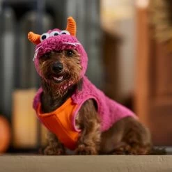 Frisco Zany Monster Dog & Cat Costume -Pet Supplies Shop 708710 PT7. AC SS1800 V1689282434