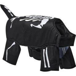 Frisco Glow In The Dark Skeleton Dog & Cat Costume -Pet Supplies Shop 709038 PT3. AC SS1800 V1689351051