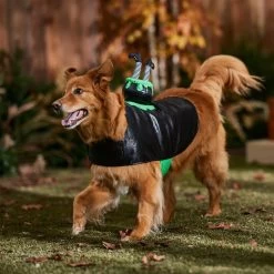 Frisco Witch Cauldron Ride-On Dog & Cat Costume -Pet Supplies Shop 709494 PT7. AC SS1800 V1689278783
