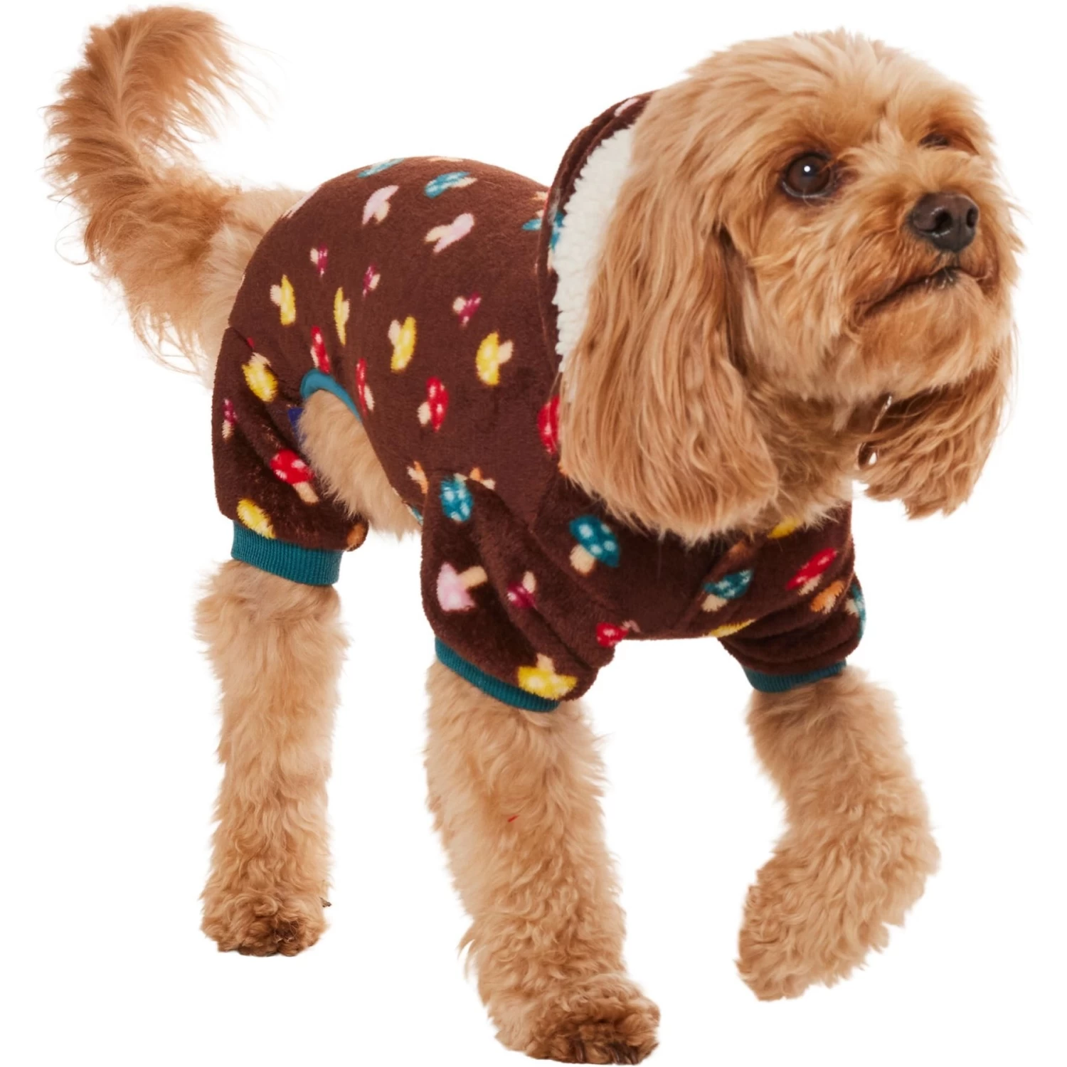 Frisco Cozy Plush Fleece Dog & Cat PJs, Mushrooms Frisco Cozy Plush Fleece Dog & Cat PJs, Mushrooms -Pet Supplies Shop 718950 PT2. AC SS1800 V1703184628