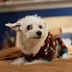 Frisco Cozy Plush Fleece Dog & Cat PJs, Mushrooms 6 Frisco Cozy Plush Fleece Dog & Cat PJs, Mushrooms -Pet Supplies Shop 718950 PT7. AC SS1800 V1692378098