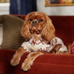 Frisco Fairisle Cozy Plush Fleece Dog & Cat PJs, Cream -Pet Supplies Shop 719006 PT7. AC SS1800 V1692376367