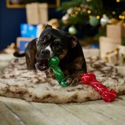 Frisco Holiday Naughty & Nice TPR Bone Squeaky Dog Toy -Pet Supplies Shop 739702 PT3. AC SS1800 V1694812786