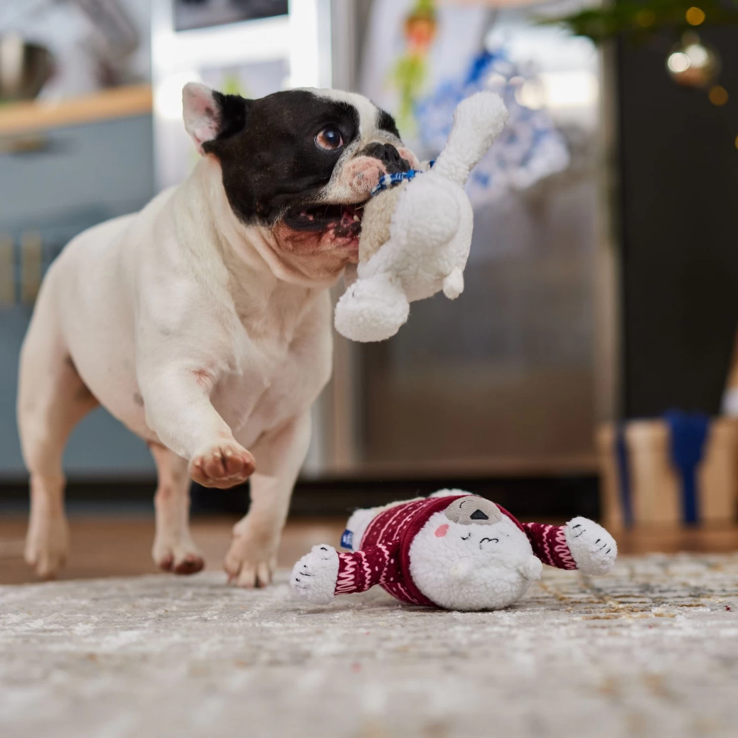 Frisco Holiday Polar Bear Friends Plush Squeaky Dog Toy Frisco Holiday Polar Bear Friends Plush Squeaky Dog Toy -Pet Supplies Shop 739822 PT3. AC SS1800 V1695043811