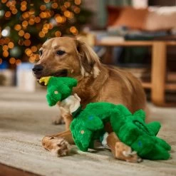 Frisco Holiday Elf In A Tree Bungee Plush Squeaky Dog Toy 3 Frisco Holiday Elf In A Tree Bungee Plush Squeaky Dog Toy -Pet Supplies Shop 739846 PT3. AC SS1800 V1695047600