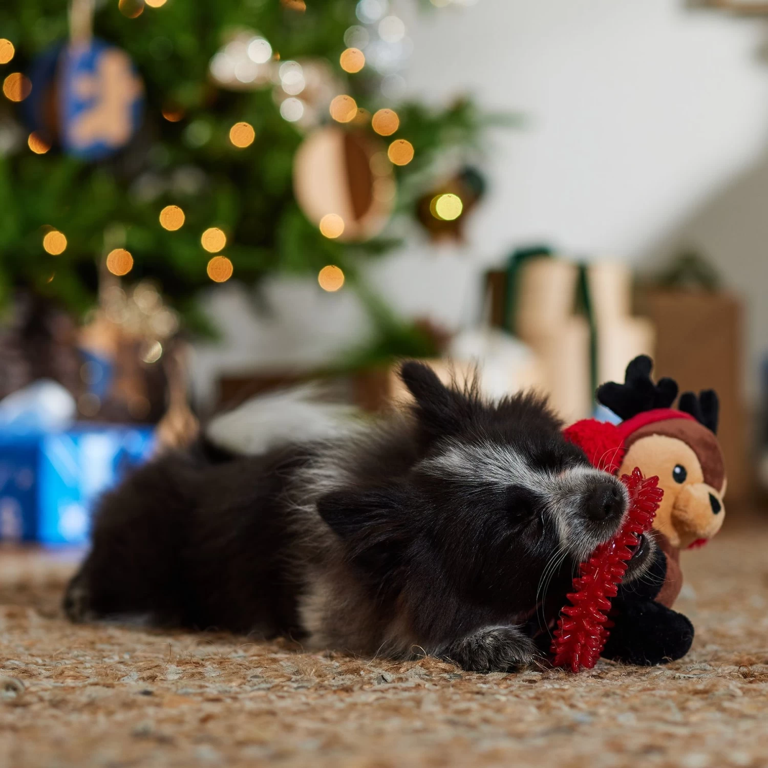 Frisco Holiday Reindeer Plush with TPR Ring Squeaky Puppy Toy Frisco Holiday Reindeer Plush With TPR Ring Squeaky Puppy Toy -Pet Supplies Shop 739958 PT3. AC SS1800 V1695046549