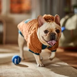 Frisco Wubby Textured Fleece Dog & Cat Hoodie W/ Pocket -Pet Supplies Shop 742510 PT7. AC SS1800 V1692377765