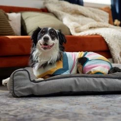 Frisco Cozy Waffle Knit Dog & Cat PJs, Stripe -Pet Supplies Shop 744246 PT7. AC SS1800 V1692377766