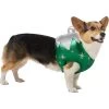 Frisco Ornament Dog & Cat Costume