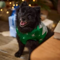 Frisco Ornament Dog & Cat Costume 6 Frisco Ornament Dog & Cat Costume -Pet Supplies Shop 745510 PT7. AC SS1800 V1694795535