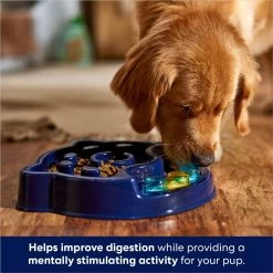 Frisco Interactive Dog Slow Feeder Bowl 2 Frisco Interactive Dog Slow Feeder Bowl -Pet Supplies Shop 761238 PT2. AC SS1800 V1696254583