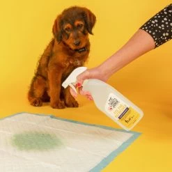 Skout's Honor Dog Pee Pad Refresher Spray, 28-oz Bottle & Frisco Washable Dog Potty Pads -Pet Supplies Shop 772958 PT4. AC SS1800 V1676749044