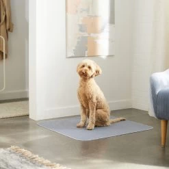 Skout's Honor Dog Pee Pad Refresher Spray, 28-oz Bottle & Frisco Washable Dog Potty Pads -Pet Supplies Shop 772958 PT8. AC SS1800 V1676752183