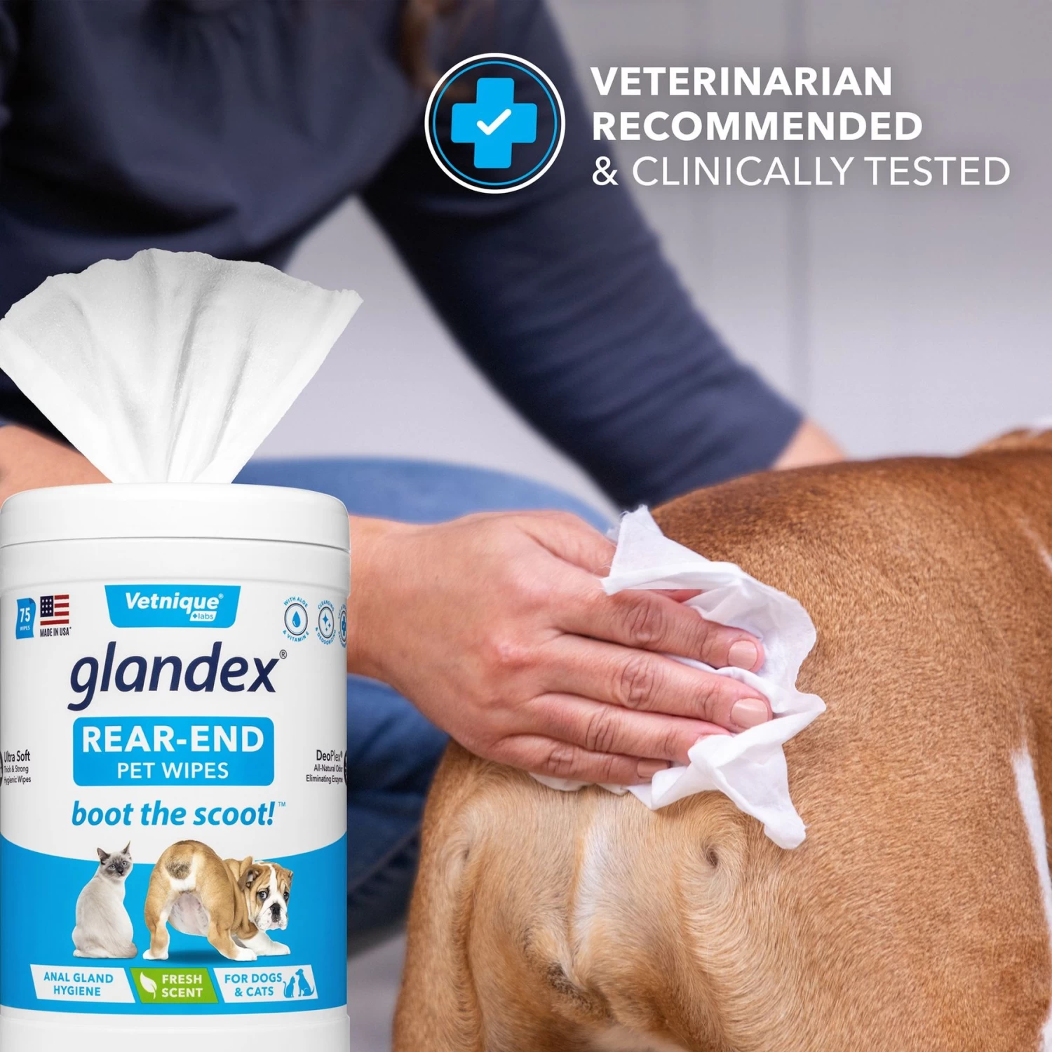 Vetnique Labs Glandex Wipes Rear End Anal Gland Cleansing & Deodorizing Hygienic Rear End Boot the Scoot Dog & Cat Wipes & Frisco Disposable Male Dog Wraps Vetnique Labs Glandex Wipes Rear End Anal Gland Cleansing & Deodorizing Hygienic Rear End Boot The Scoot Dog & Cat Wipes & Frisco Disposable Male Dog Wraps -Pet Supplies Shop 826454 PT4. AC SS1800 V1682018155
