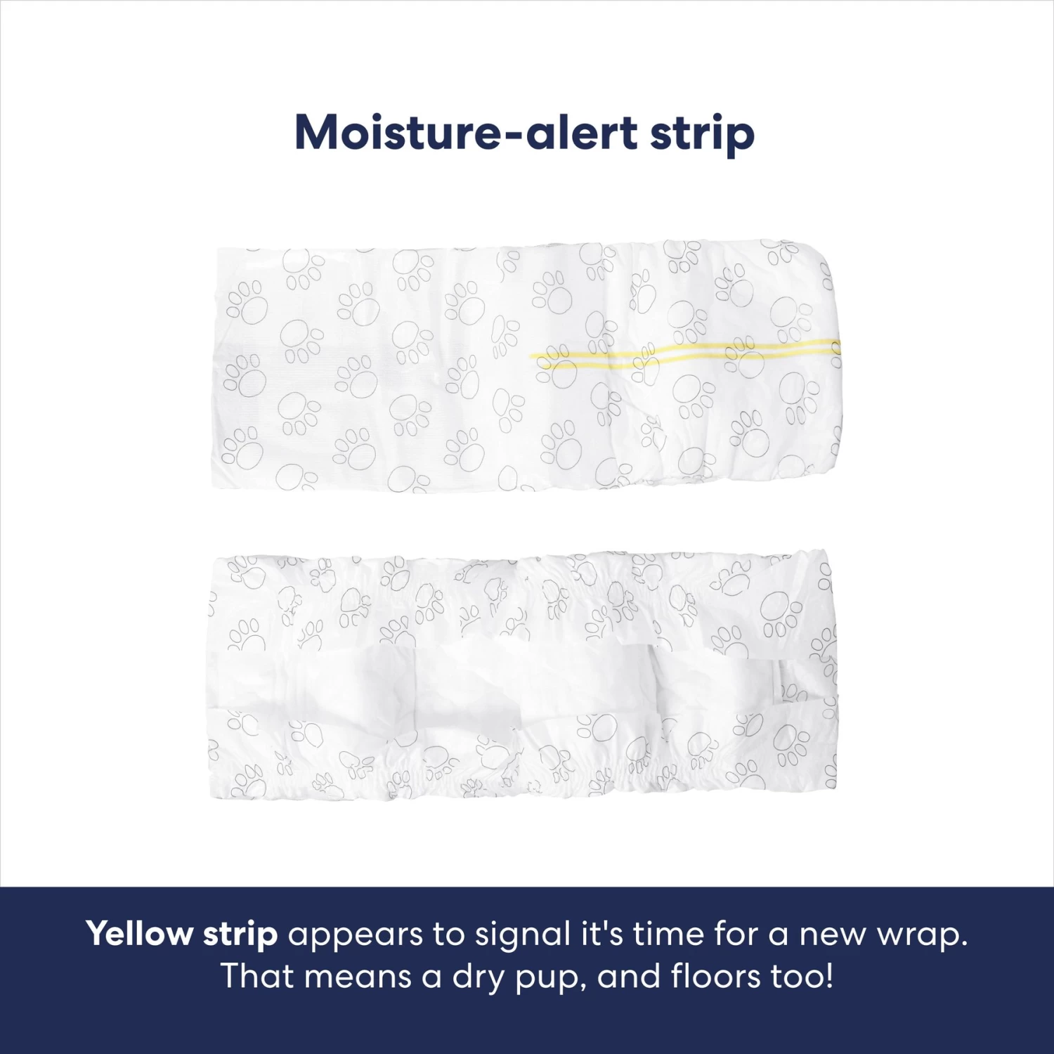 Vetnique Labs Glandex Wipes Rear End Anal Gland Cleansing & Deodorizing Hygienic Rear End Boot the Scoot Dog & Cat Wipes & Frisco Disposable Male Dog Wraps Vetnique Labs Glandex Wipes Rear End Anal Gland Cleansing & Deodorizing Hygienic Rear End Boot The Scoot Dog & Cat Wipes & Frisco Disposable Male Dog Wraps -Pet Supplies Shop 826454 PT8. AC SS1800 V1681332086