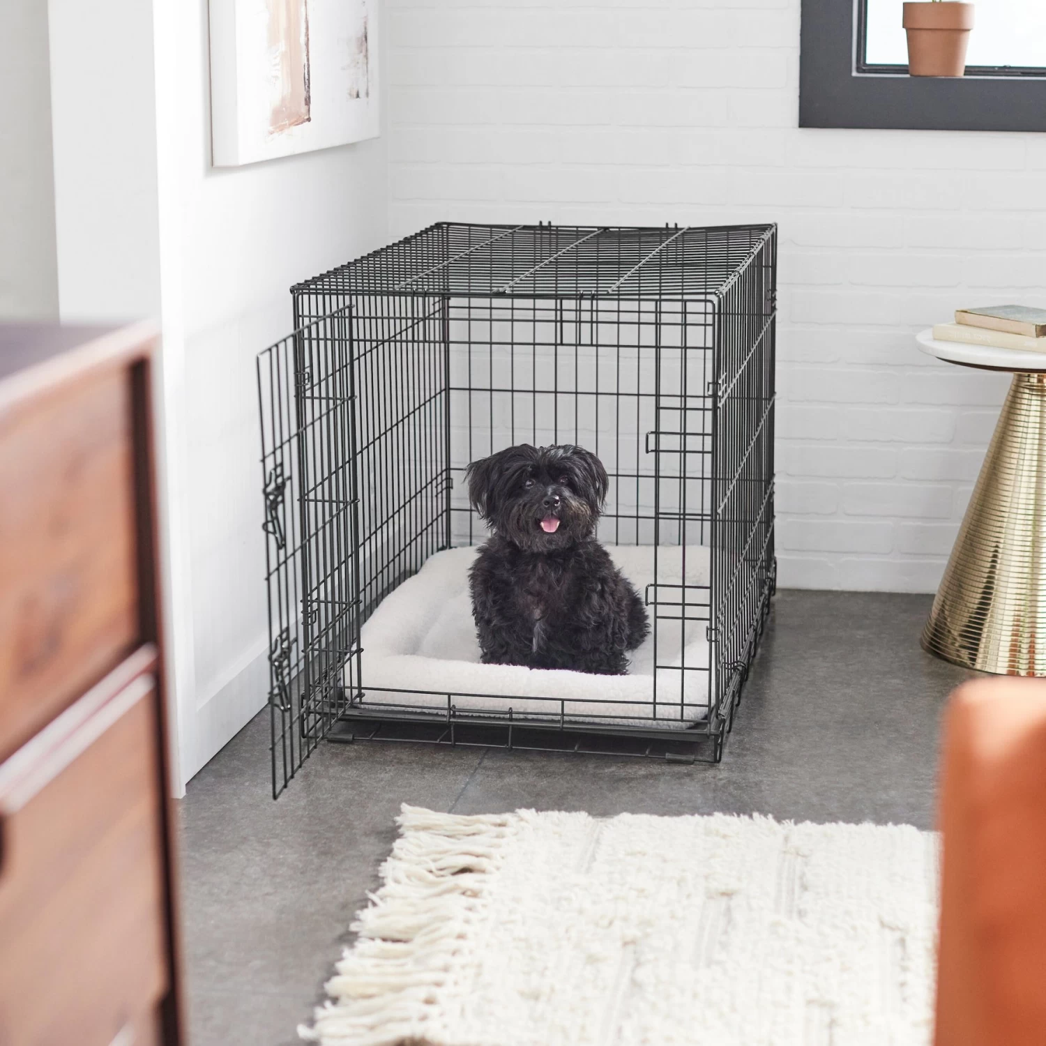 Frisco Quilted Dog Crate Mat Frisco Quilted Dog Crate Mat -Pet Supplies Shop 90506 PT5. AC SS1800 V1635259001