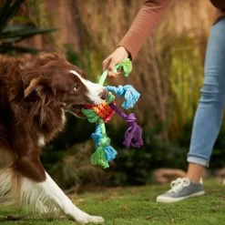 Frisco Fetch Colorful Ball Knot Rope Dog Toy & Frisco Monkey Plush With Rope Squeaky Dog Toy -Pet Supplies Shop 962014 PT2. AC SS1800 V1694784008