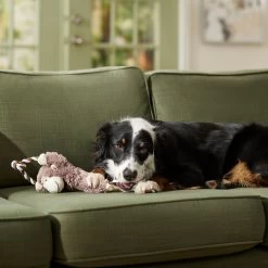 Frisco Fetch Colorful Ball Knot Rope Dog Toy & Frisco Monkey Plush With Rope Squeaky Dog Toy -Pet Supplies Shop 962014 PT7. AC SS1800 V1694784007