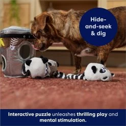 Frisco Volcano Hide & Seek Puzzle Plush Squeaky Dog Toy & Frisco Trash Can & Raccoons Hide & Seek Puzzle Plush Squeaky Dog Toy -Pet Supplies Shop 962054 PT8. AC SS1800 V1694783037