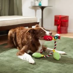 Frisco Holiday Reindeer Plush With Rope Squeaky Dog Toy & Frisco Holiday Lights Plush With Rope Squeaky Dog Toy 7 Frisco Holiday Reindeer Plush With Rope Squeaky Dog Toy & Frisco Holiday Lights Plush With Rope Squeaky Dog Toy -Pet Supplies Shop 986134 PT8. AC SS1800 V1698258405