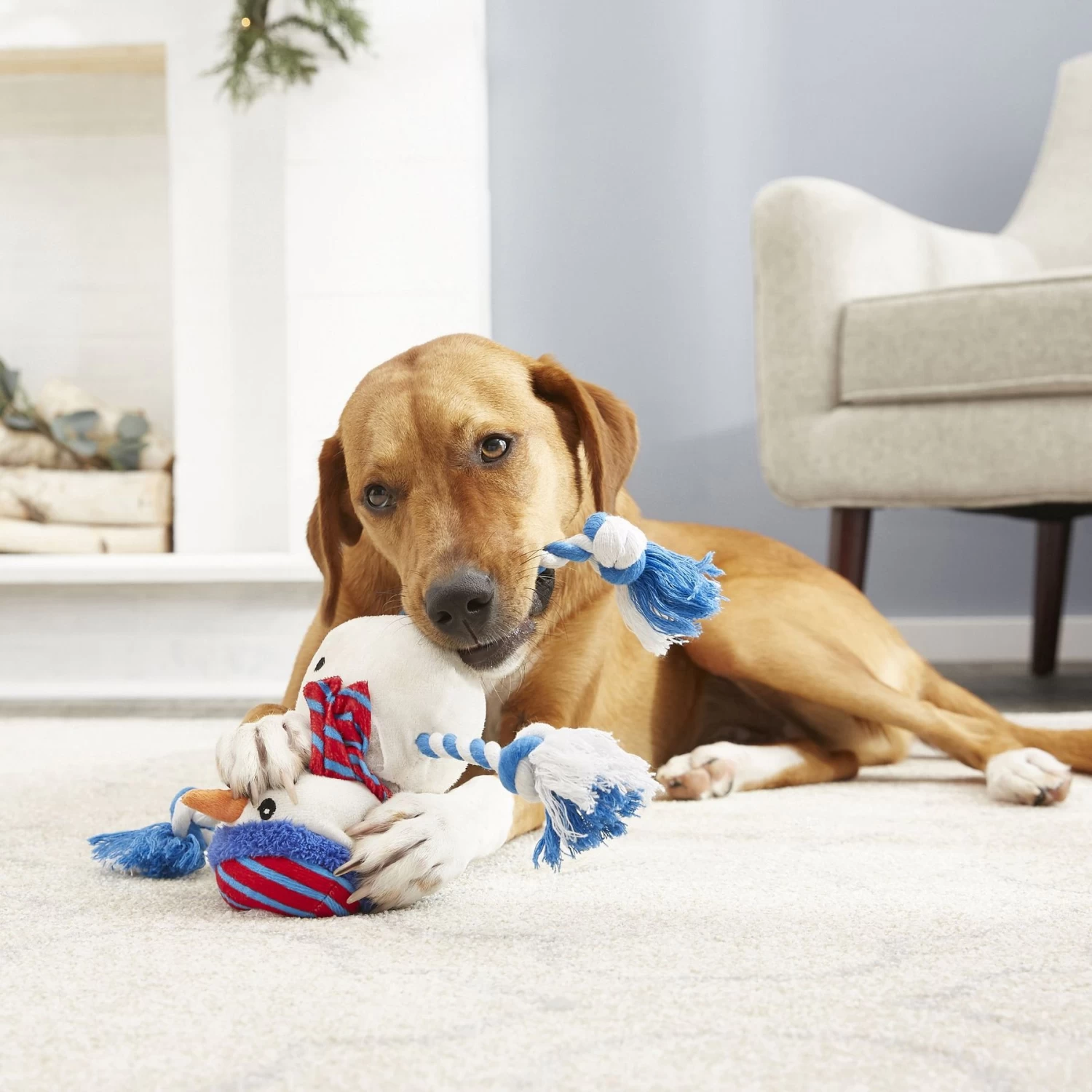 Frisco Holiday Snowman Plush with Rope Squeaky Dog Toy & Frisco Holiday Reindeer Plush with Rope Squeaky Dog Toy Frisco Holiday Snowman Plush With Rope Squeaky Dog Toy & Frisco Holiday Reindeer Plush With Rope Squeaky Dog Toy -Pet Supplies Shop 986174 PT4. AC SS1800 V1698258345