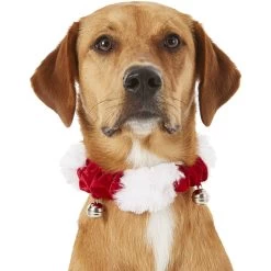 Frisco Jingle Bells Dog & Cat Holiday Collar With Bells, 1 Count & Frisco Holiday Antler Headband & Bell Collar Dog & Cat Costume -Pet Supplies Shop 986294 PT3. AC SS1800 V1698257734