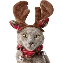 Frisco Jingle Bells Dog & Cat Holiday Collar With Bells, 1 Count & Frisco Holiday Antler Headband & Bell Collar Dog & Cat Costume -Pet Supplies Shop 986294 PT6. AC SS1800 V1698257736