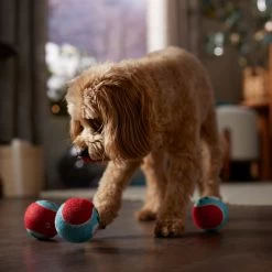 Frisco Holiday Ho Ho Ho Fetch Squeaky Tennis Ball Dog Toy & Frisco Holiday Arctic Friends Stuffing-Free Skinny Plush Squeaky Dog Toy 4 Frisco Holiday Ho Ho Ho Fetch Squeaky Tennis Ball Dog Toy & Frisco Holiday Arctic Friends Stuffing-Free Skinny Plush Squeaky Dog Toy -Pet Supplies Shop 986310 PT4. AC SS1800 V1698257790